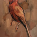 Crimson Finch